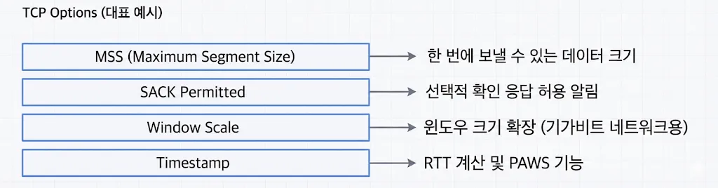 assets/tcp_options.png